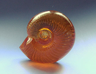 Petite ammonite ocre